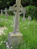 image of grave number 545542